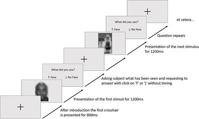 Investigating the Single Trial Detectability of Cognitive Face Processing by a Passive Brain-Computer Interface
